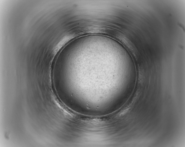 X0000102500986200808151516