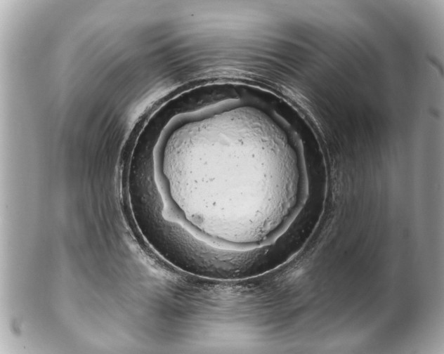 X0000102500987200808151516