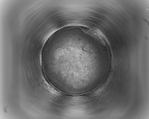 X0000102500988200808151516