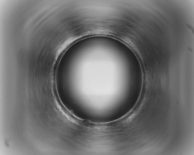 X0000102500989200808151516