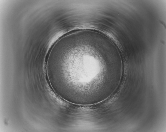 X0000102500990200808151516