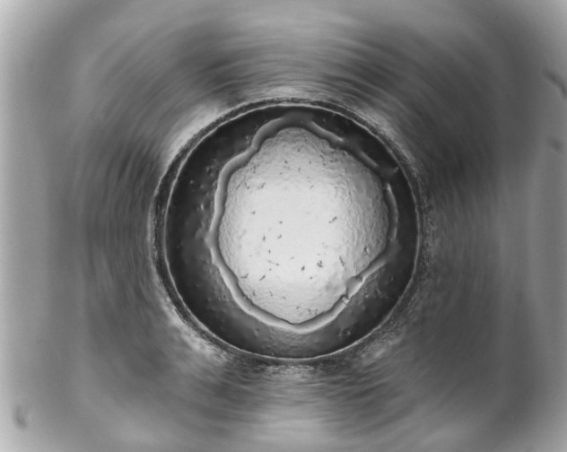 X0000102500991200808151516