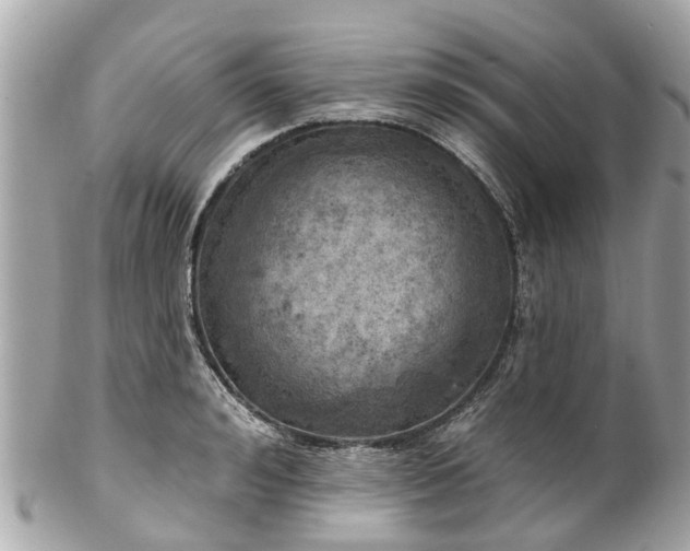 X0000102500992200808151516