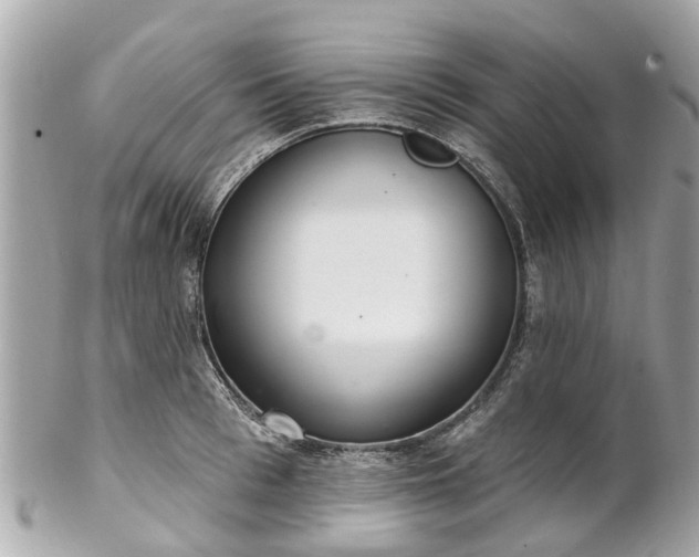 X0000102500993200808151516