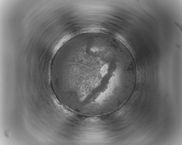 X0000102500994200808151516