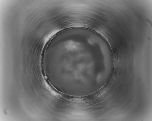 X0000102500995200808151516