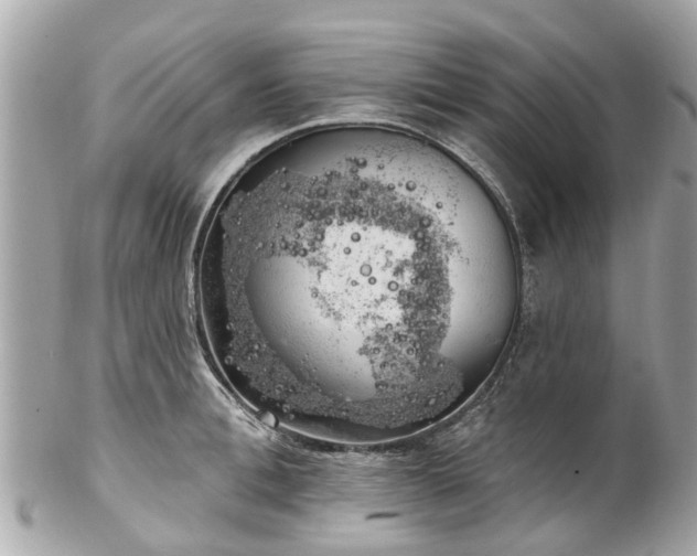 X0000102500996200808151516