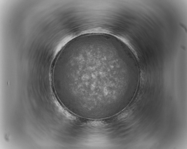 X0000102500998200808151516