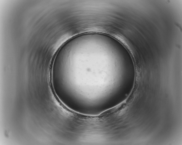 X0000102500999200808151516