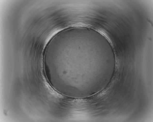 X0000102501000200808151516