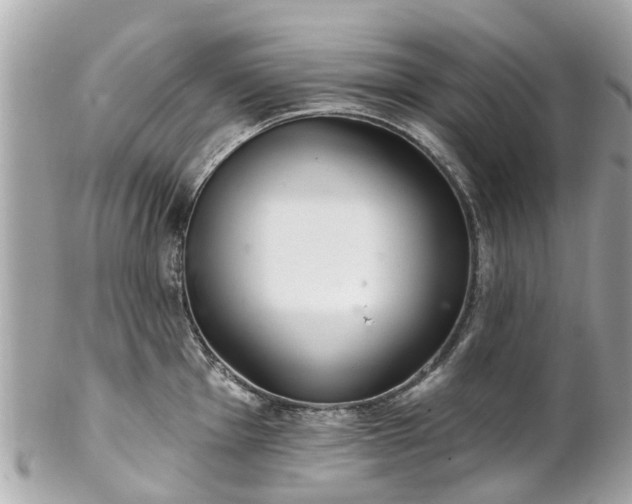 X0000102501001200808151516