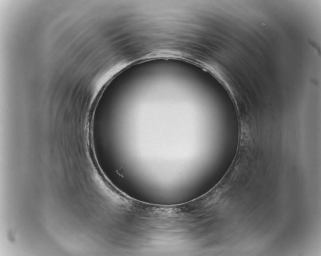 X0000102501003200808151516