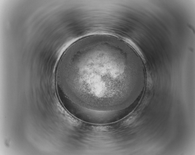 X0000102501004200808151516