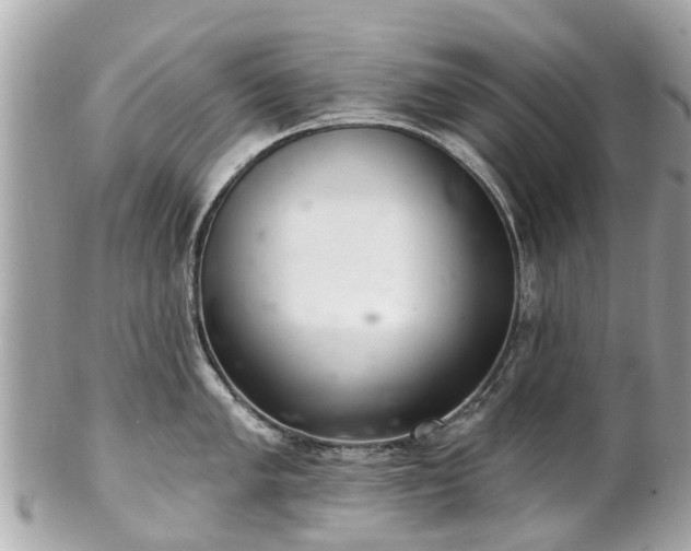 X0000102501005200808151516