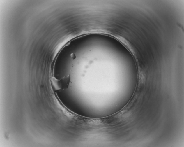 X0000102501006200808151516