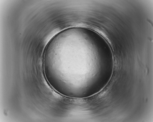 X0000102501007200808151516