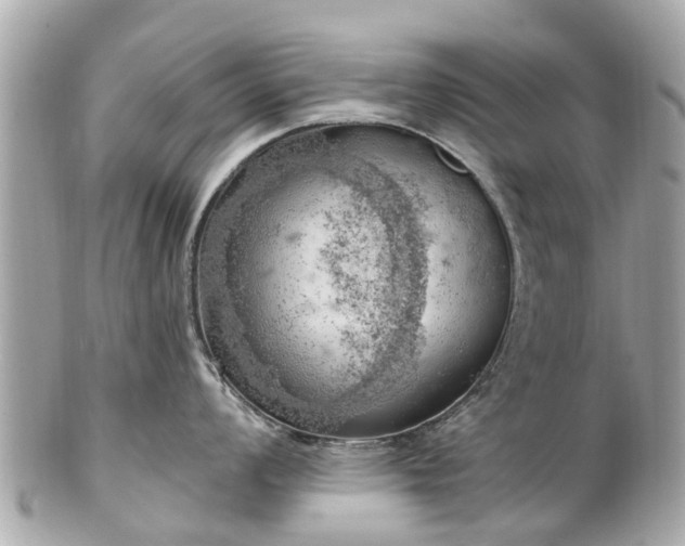 X0000102501008200808151516