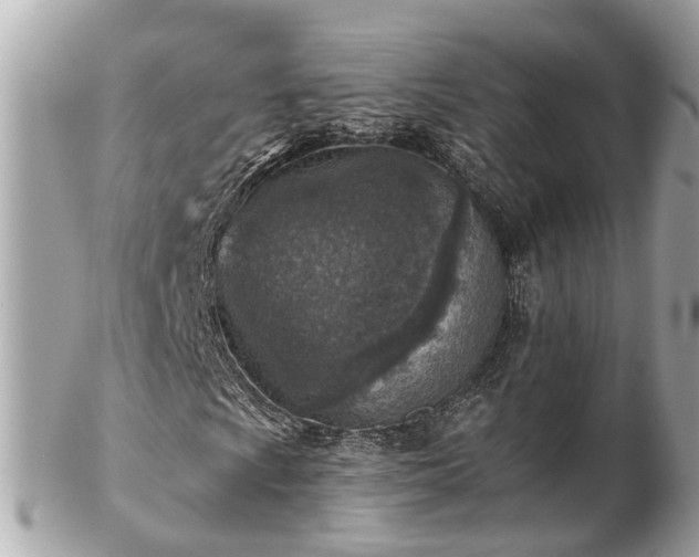 X0000102501009200808151515