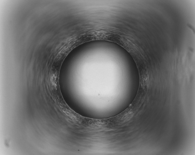 X0000102501010200808151515