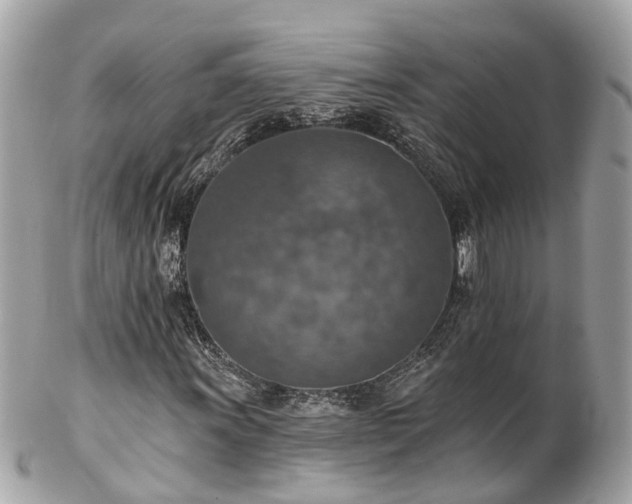 X0000102501011200808151515