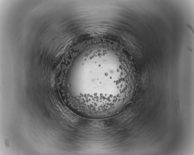 X0000102501012200808151515