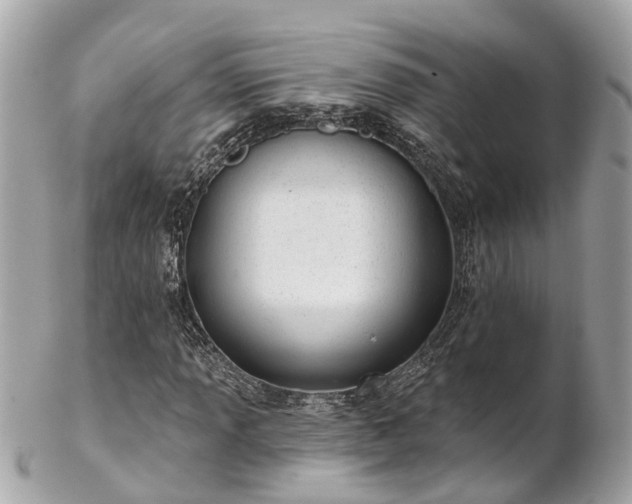 X0000102501013200808151515