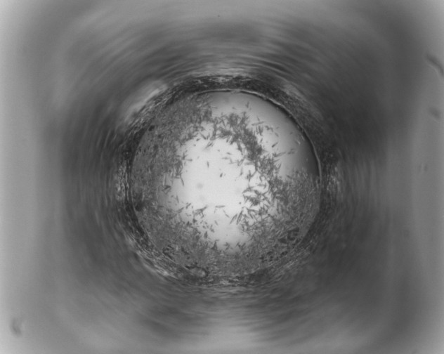 X0000102501014200808151515
