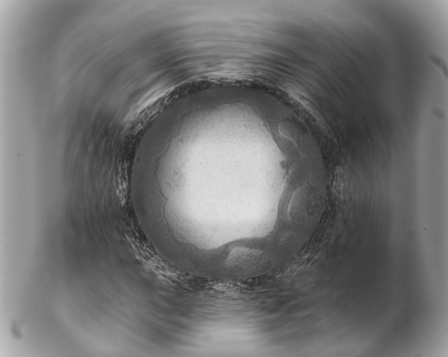 X0000102501015200808151515