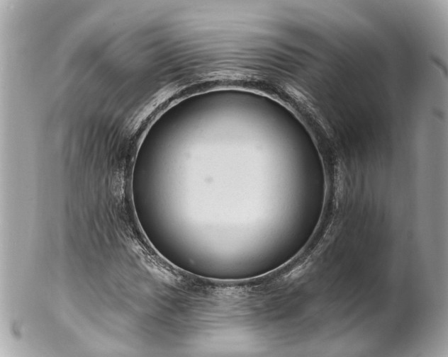 X0000102501017200808151515