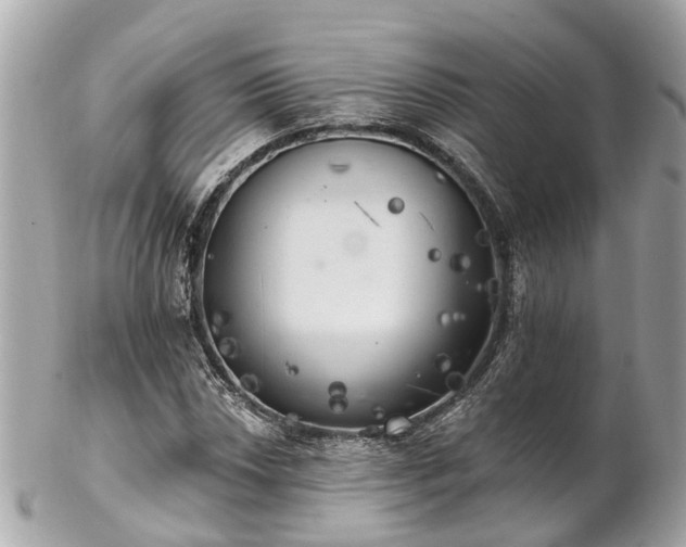 X0000102501018200808151515
