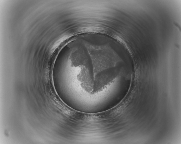 X0000102501019200808151515