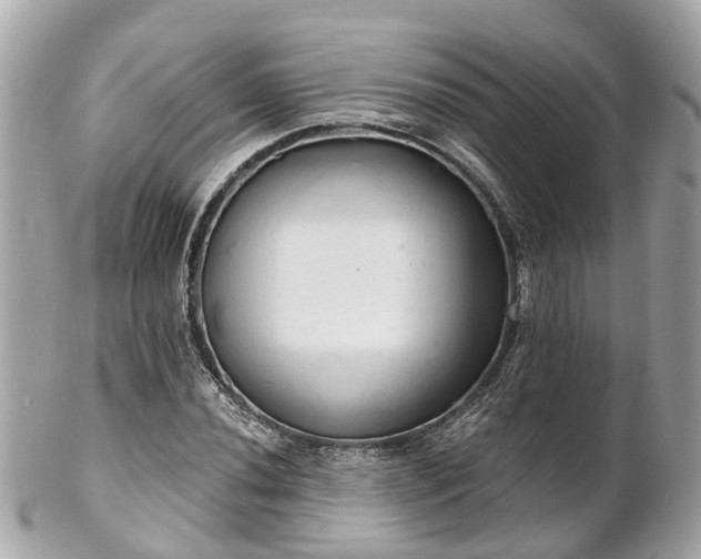 X0000102501020200808151515