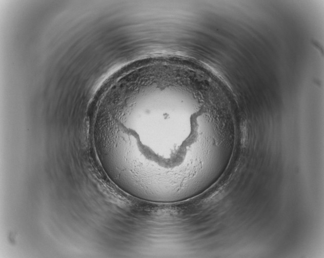 X0000102501021200808151515