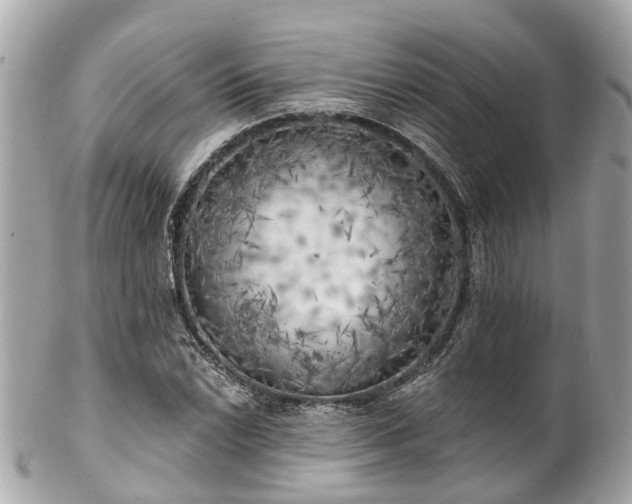 X0000102501022200808151515