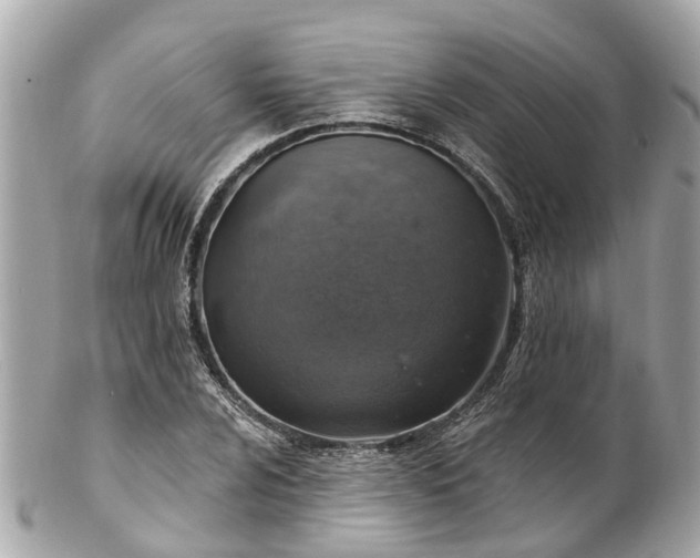 X0000102501024200808151515