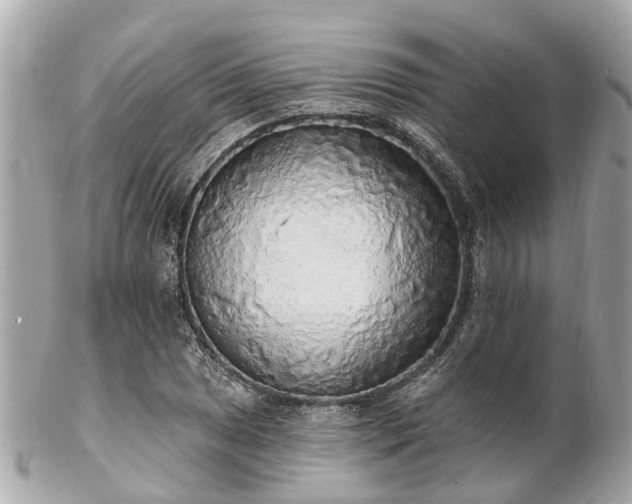 X0000102501025200808151515