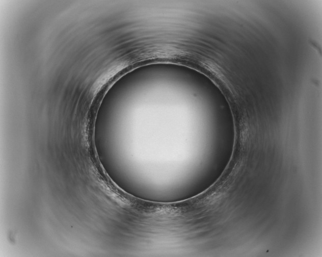 X0000102501026200808151515