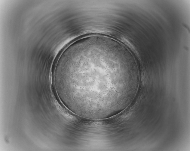 X0000102501028200808151515