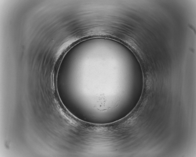 X0000102501030200808151515