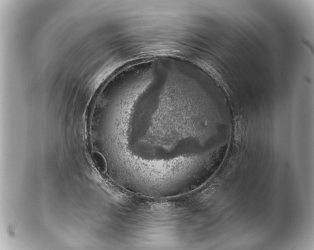 X0000102501031200808151515