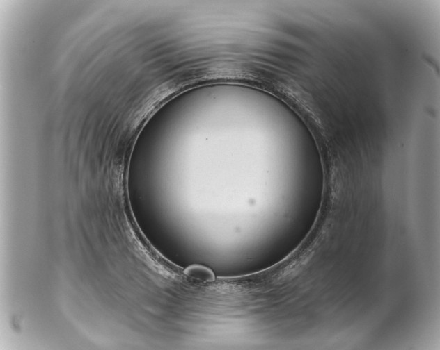 X0000102501033200808151515