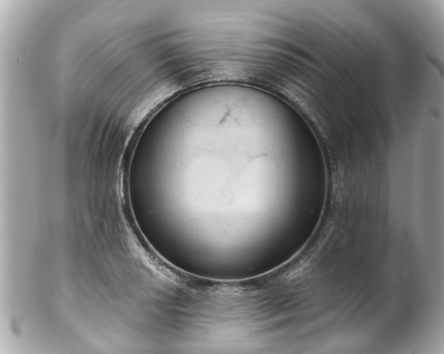 X0000102501034200808151515