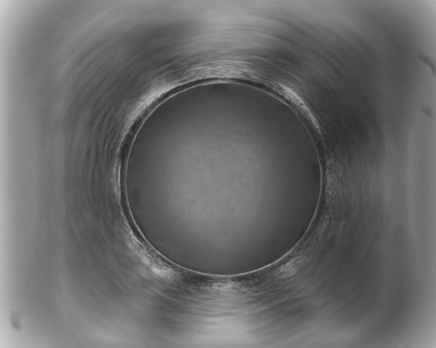 X0000102501035200808151515