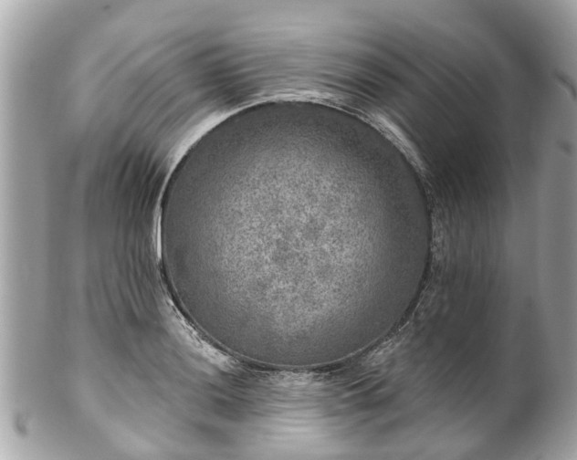 X0000102501036200808151515