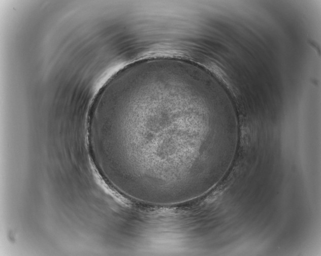 X0000102501038200808151515