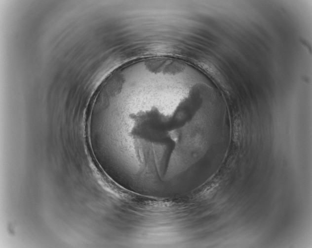 X0000102501039200808151515