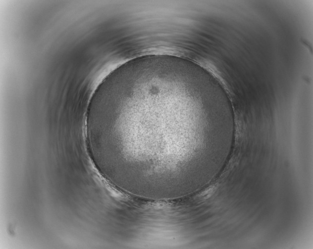 X0000102501040200808151516