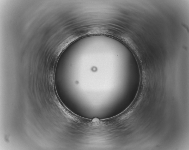 X0000102501041200808151516