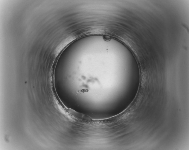 X0000102501042200808151516