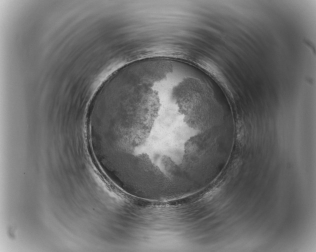 X0000102501043200808151516